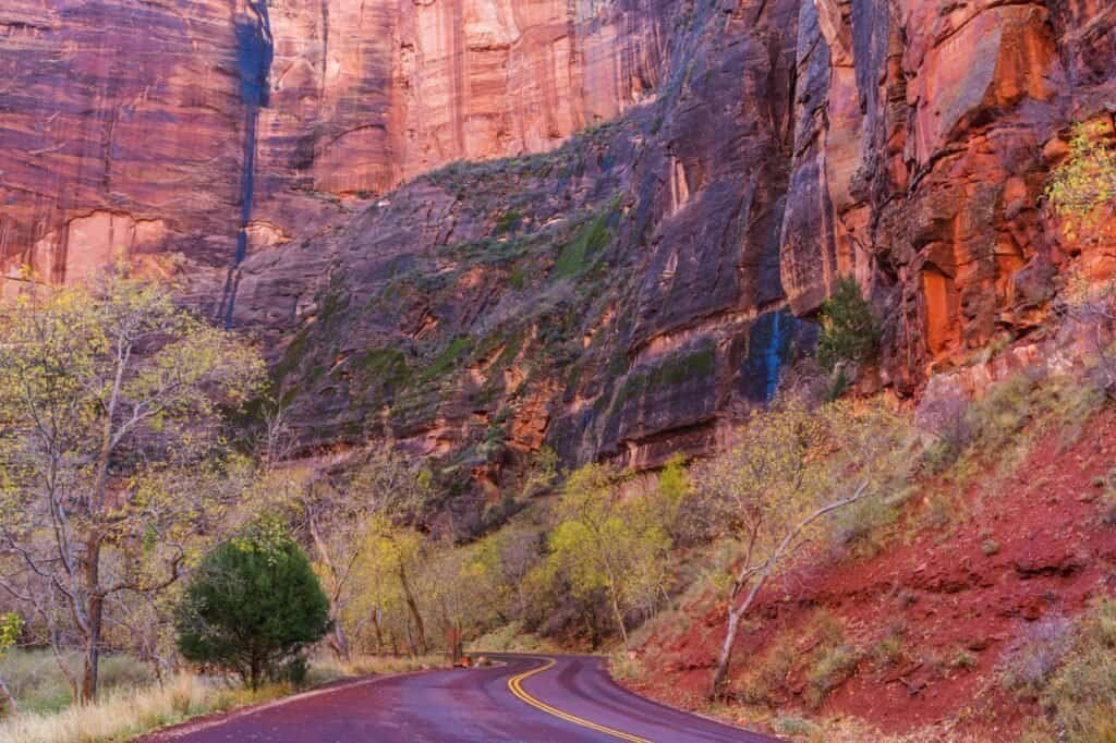 Maximize Your Adventure: Zion National Park Entrance Fee Breakdown