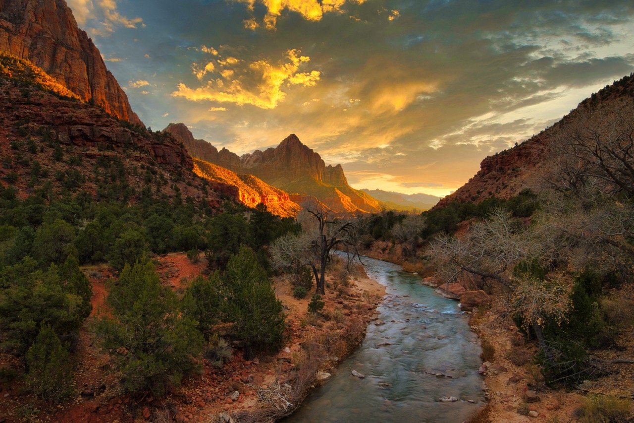 Camping in Zion National Park: Best Campgrounds, Tips & Nearby Options