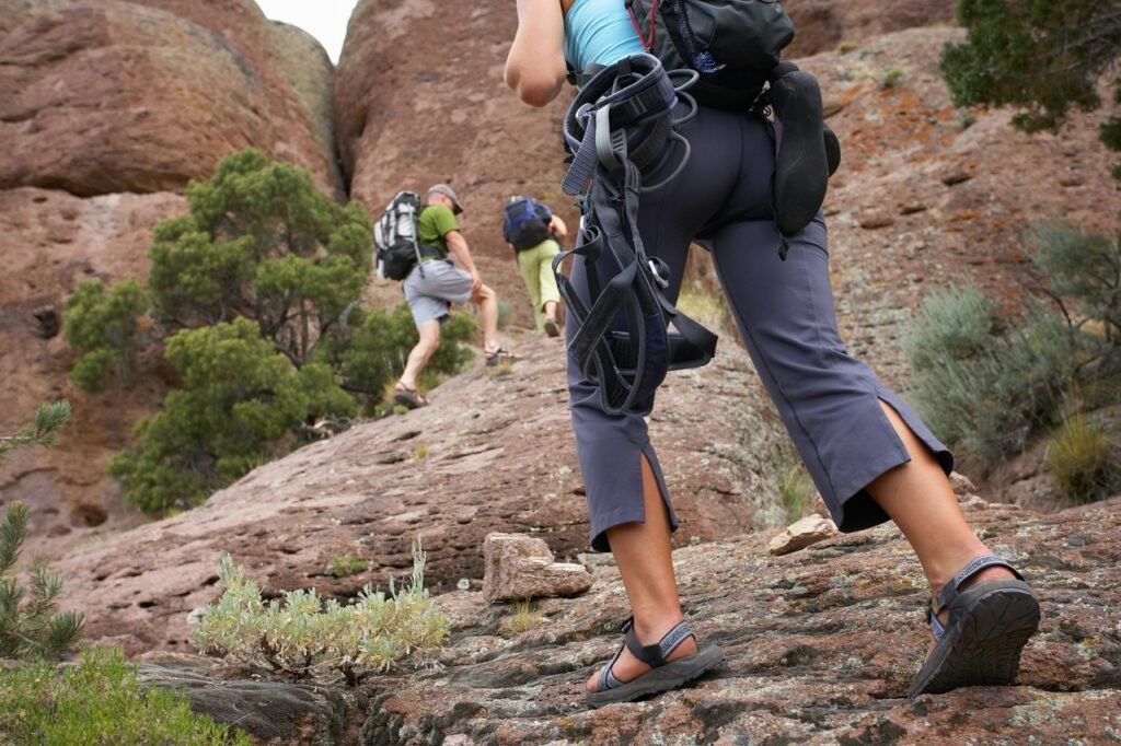 Best Time to Visit Zion National Park