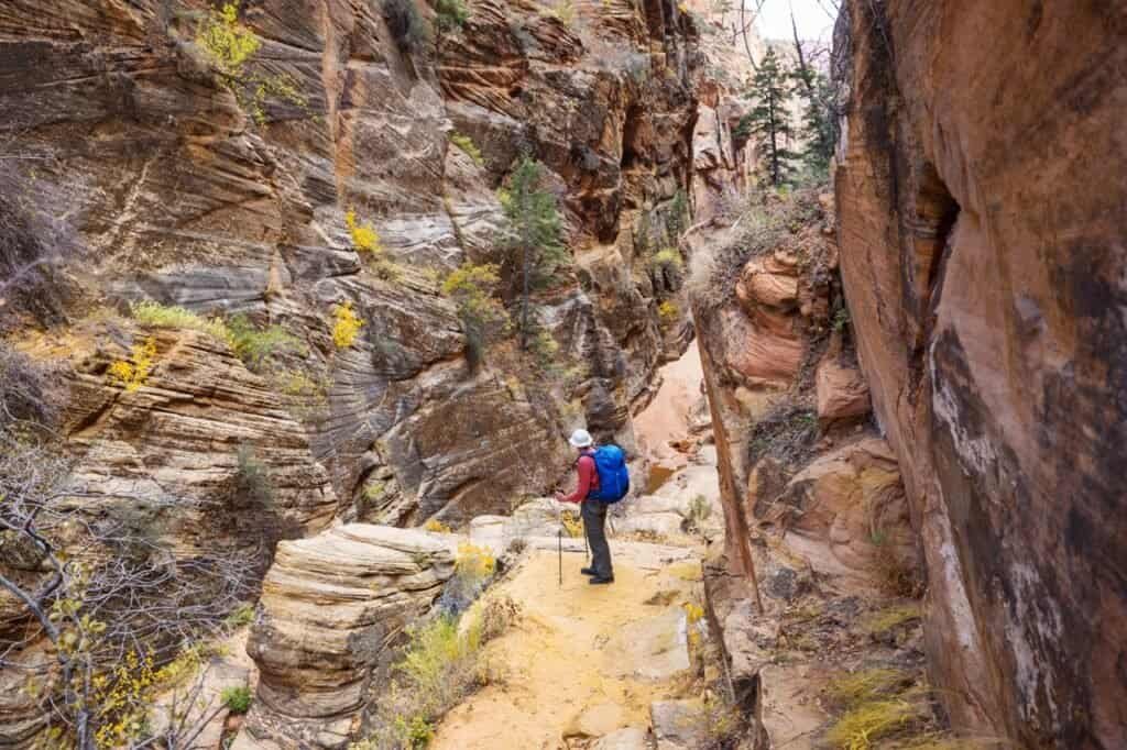 Maximize Your Adventure: Zion National Park Entrance Fee Breakdown