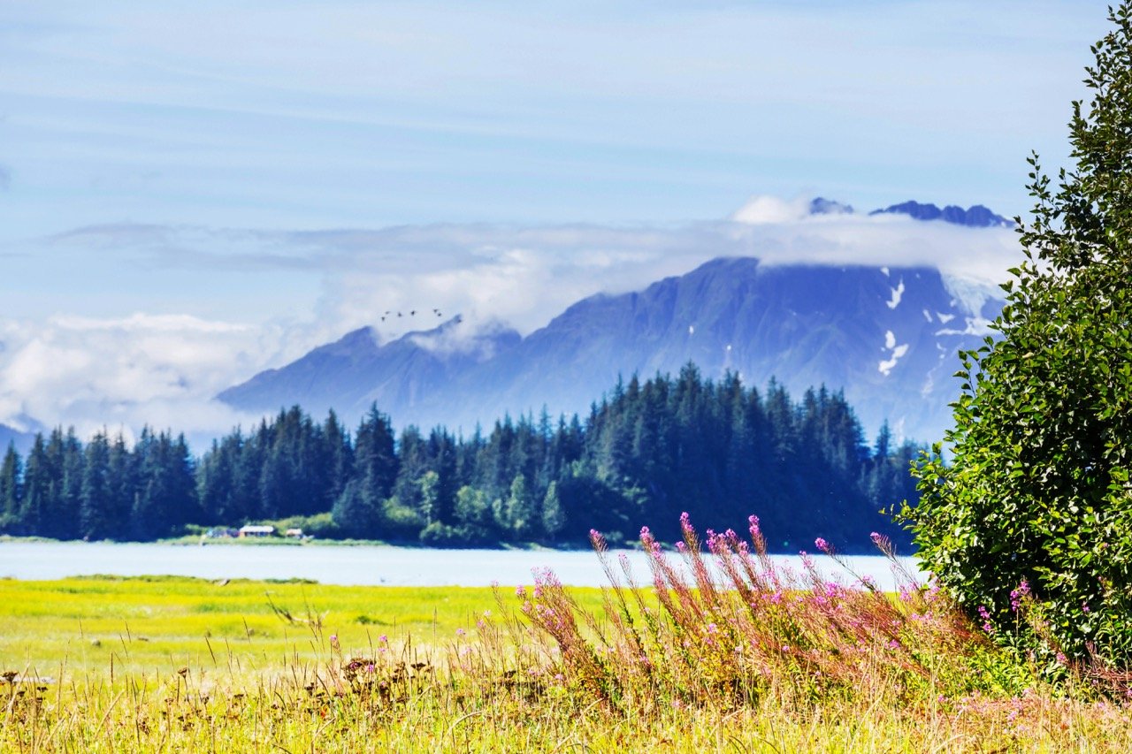 Exploring Adventure Awaits: Wrangell St. Elias Alaska Awaits You!