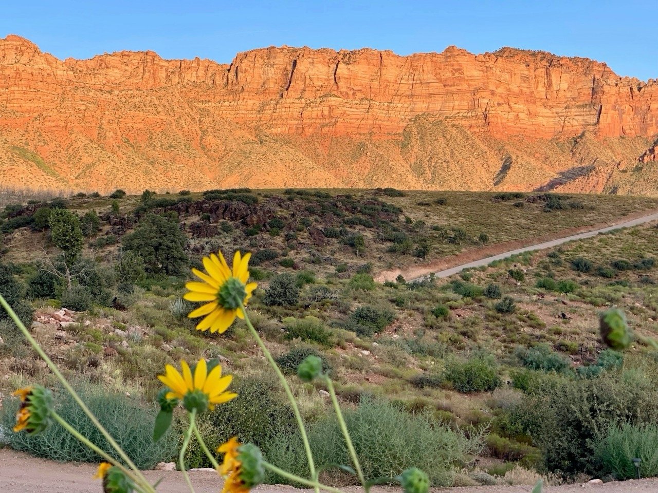 Best Time to Visit Zion National Park