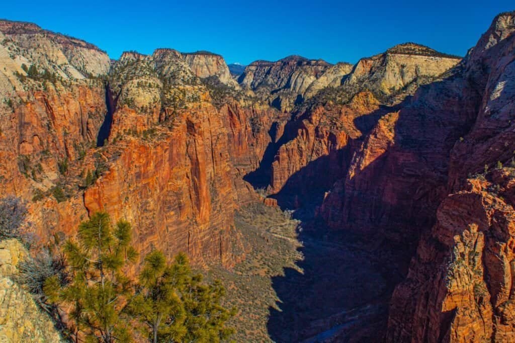 Discover Adventure: Best Hiking Trails in Zion National Park