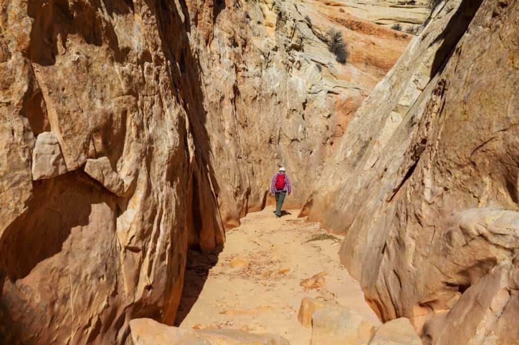 Discover Adventure: Best Hiking Trails in Zion National Park