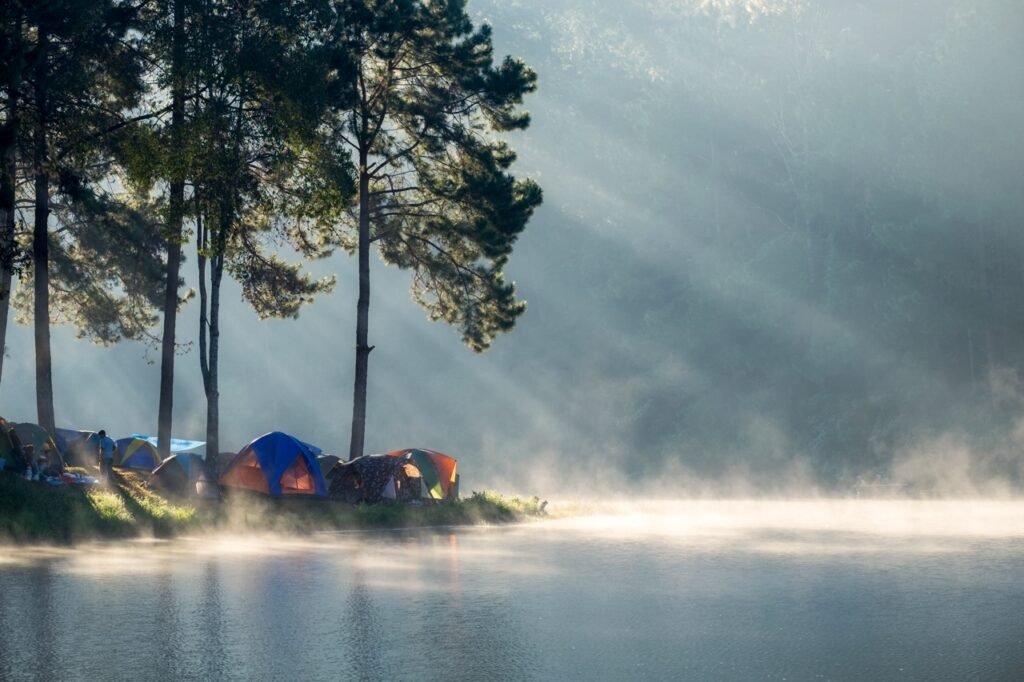 Escape to Nature: Enjoy Camping in Zion National Park Today