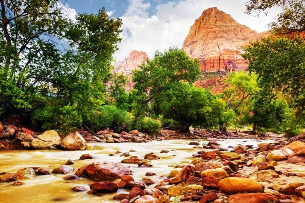 Escape to Nature: Enjoy Camping in Zion National Park Today