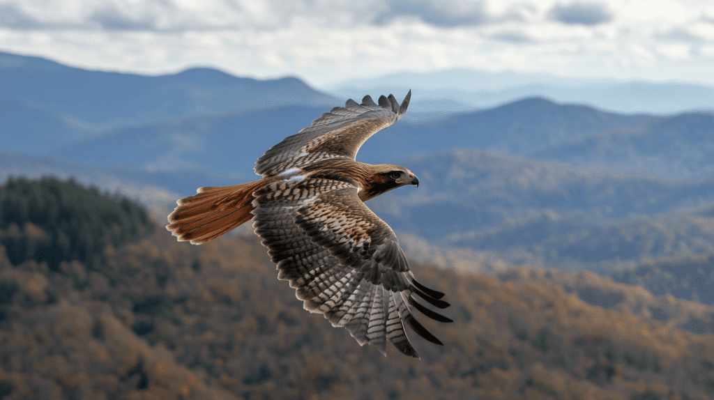 Great Smoky Mountains Wildlife Marvels Await