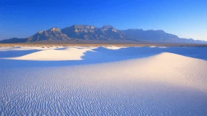 Explore White Sands National Park Tours