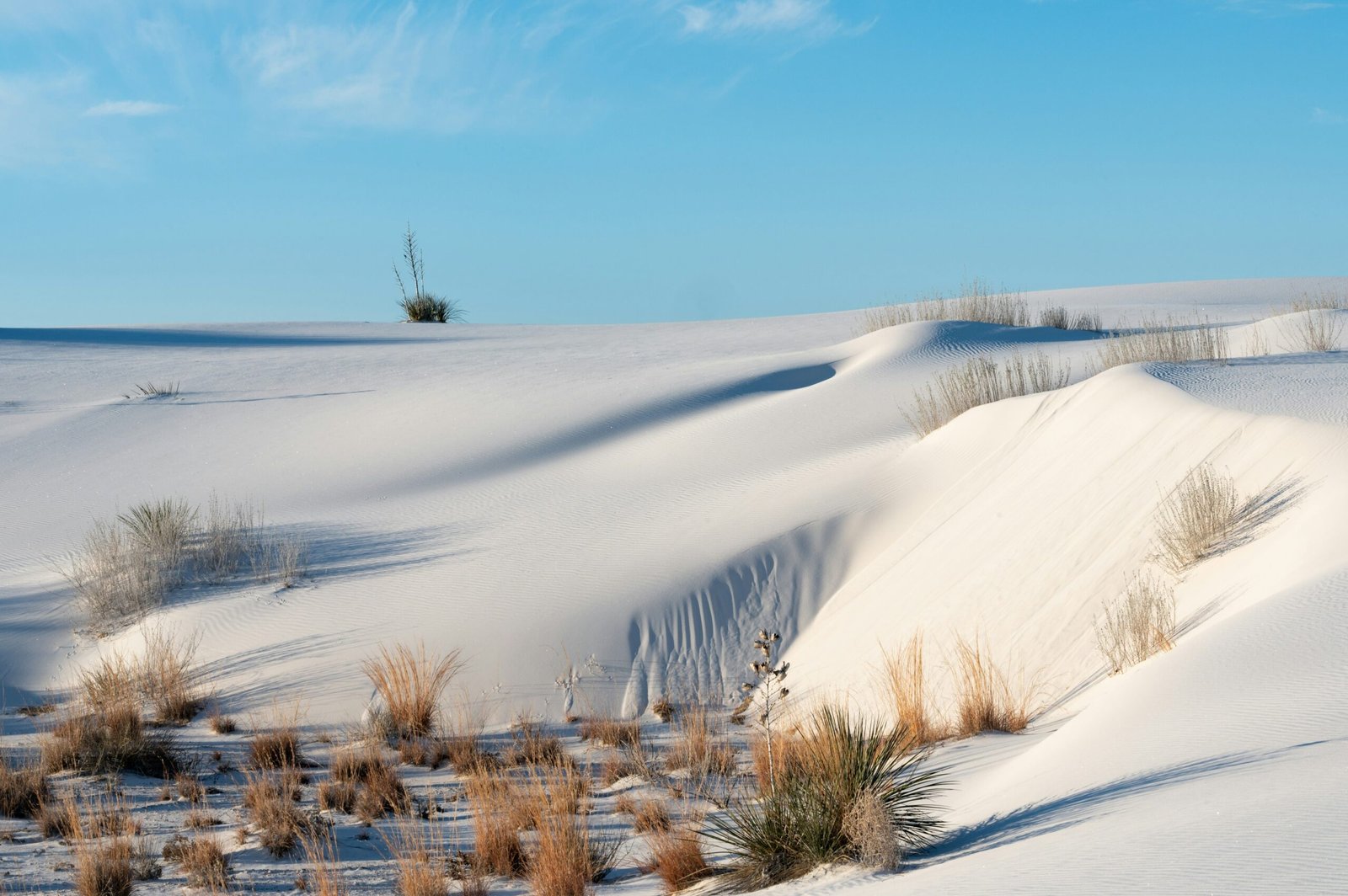 white sands new mexico