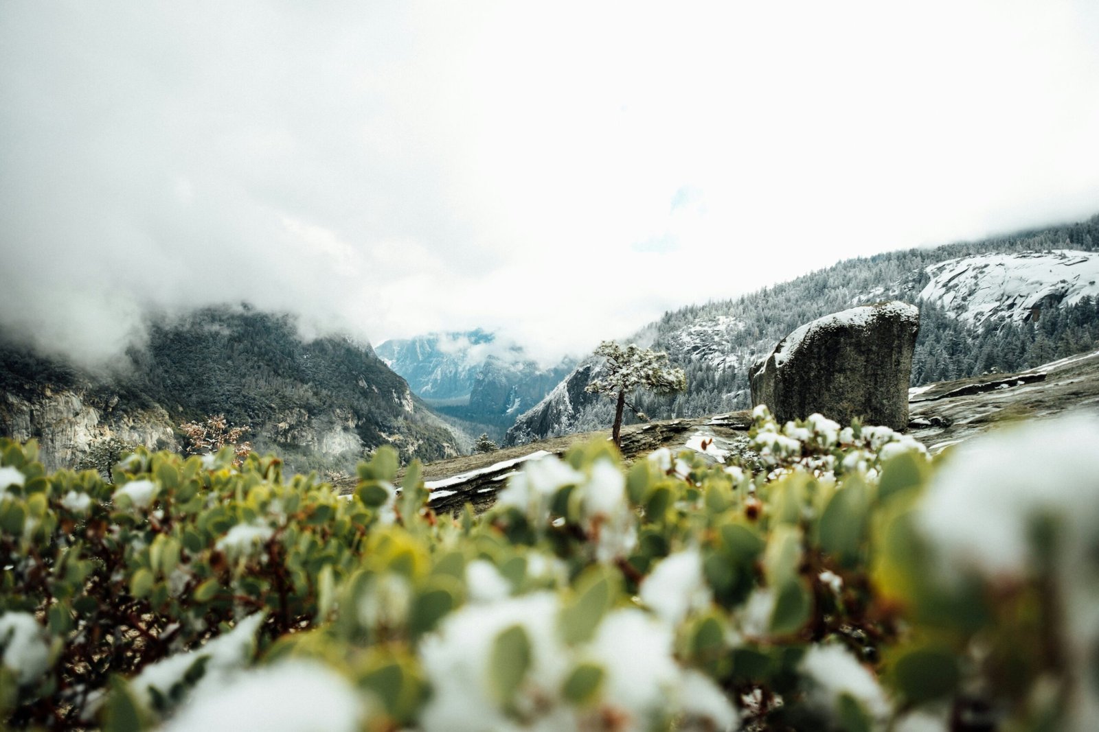 yosemite valley