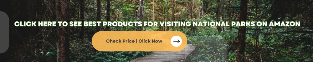 Nearest Airport to Yosemite