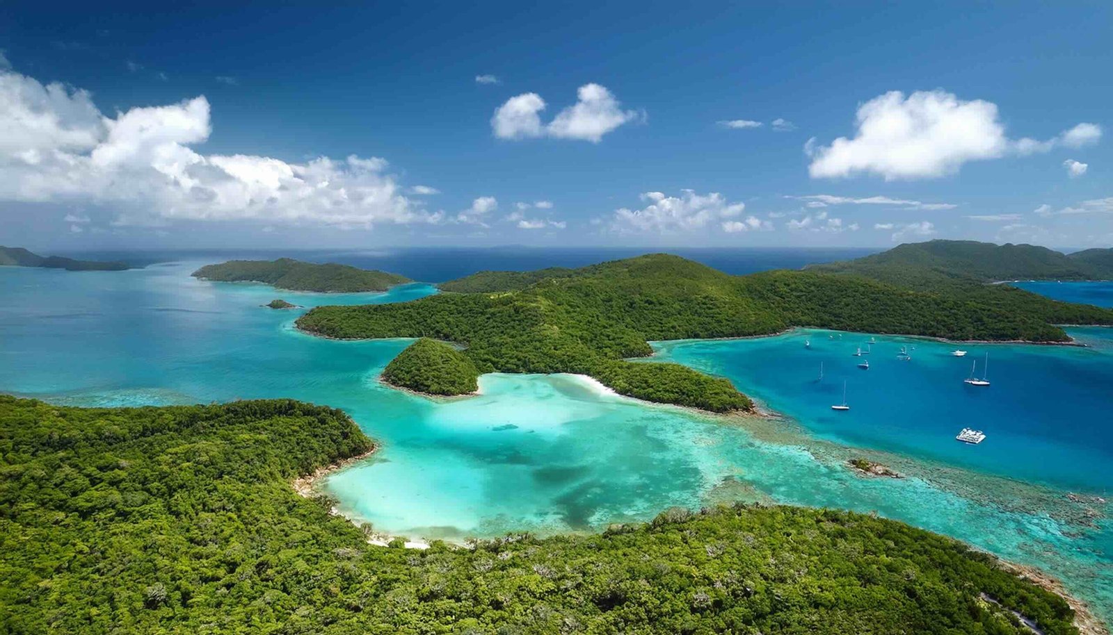 Top 8 Jaw-Dropping Spots for Snorkeling in Virgin Islands National Park