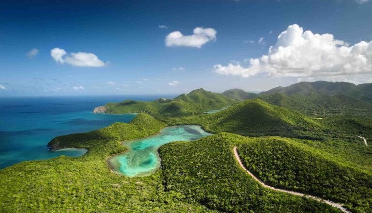 Discover 7 Epic Hiking Trails in Virgin Islands National Park