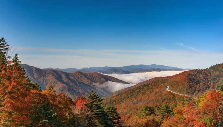 Great Smoky Mountains Scenic Drives