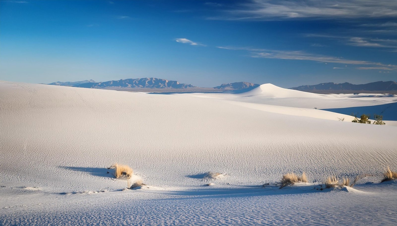 Journey to Wonder: White Sands National Park Roswell Awaits You!