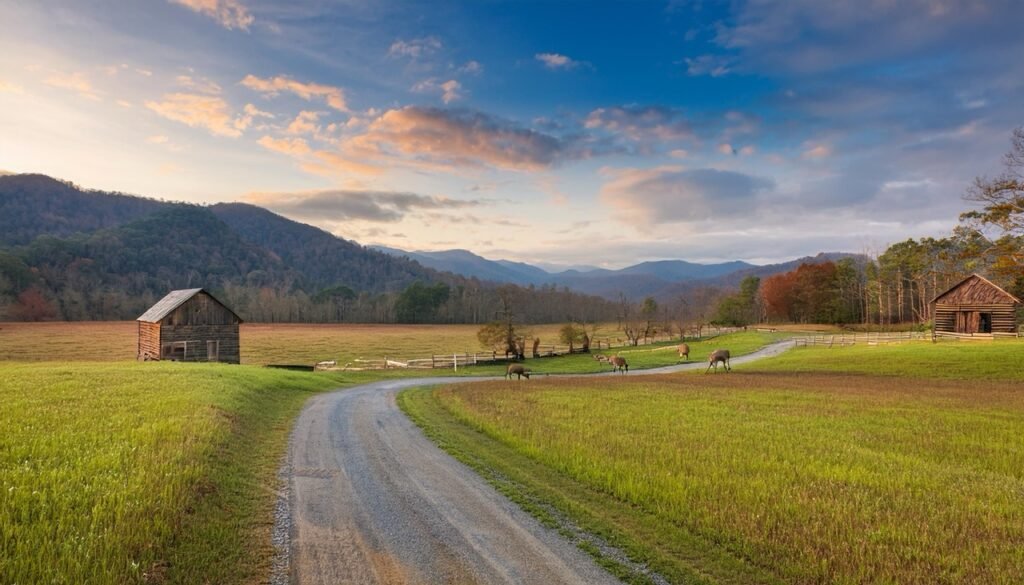 Great Smoky Mountains Overlooks