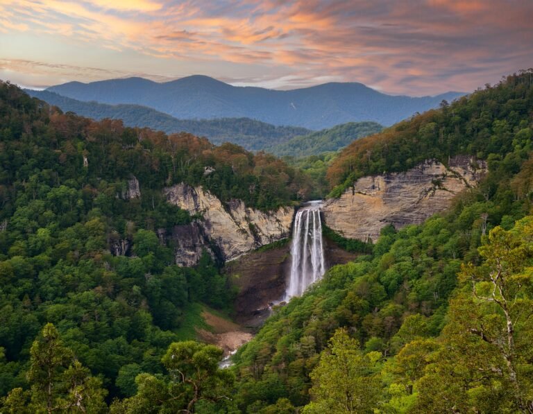 Explore the Wonders: Must-Do Activities in Great Smoky Mountains National Park