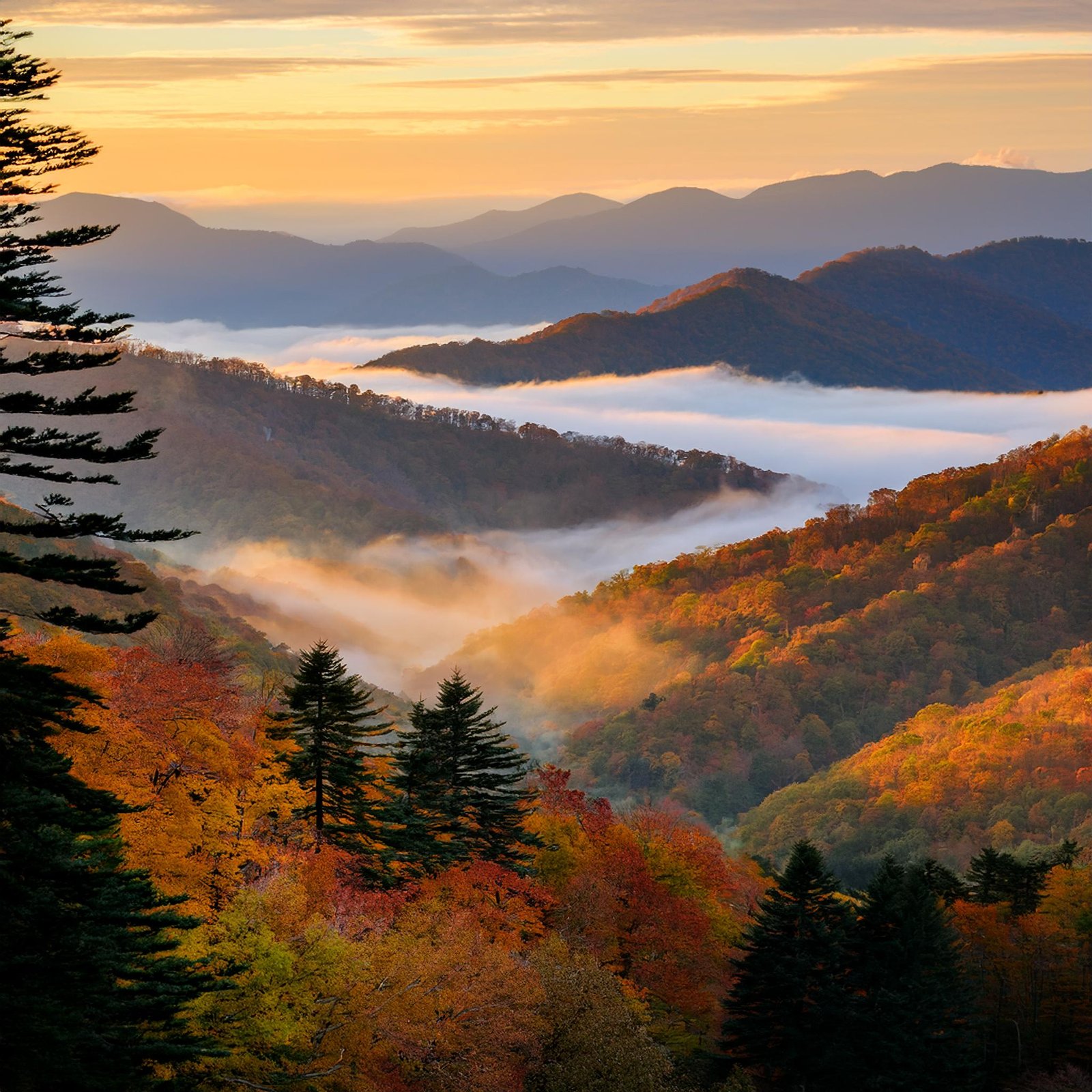 Navigating the Great Smoky Mountains National Park Map