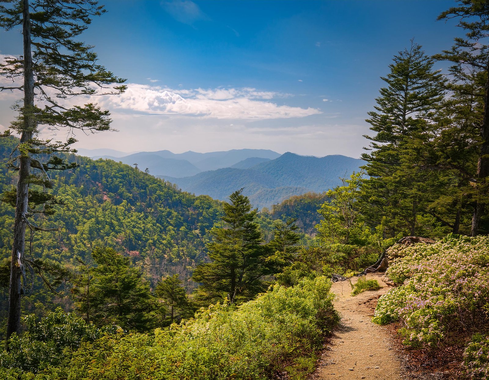 Great Smoky Mountains National Park Hiking Trails