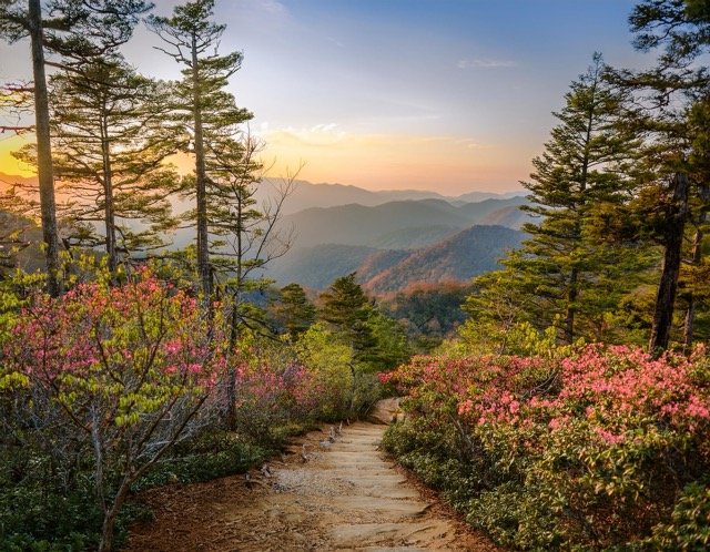 Best Hikes in Great Smoky Mountains National Park