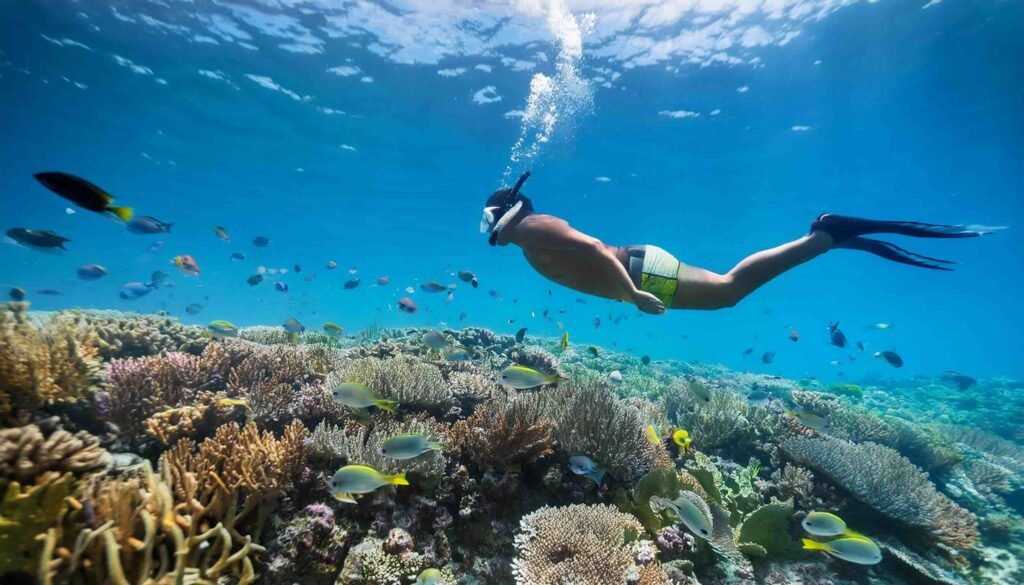 Top 8 Jaw-Dropping Spots for Snorkeling in Virgin Islands National Park
