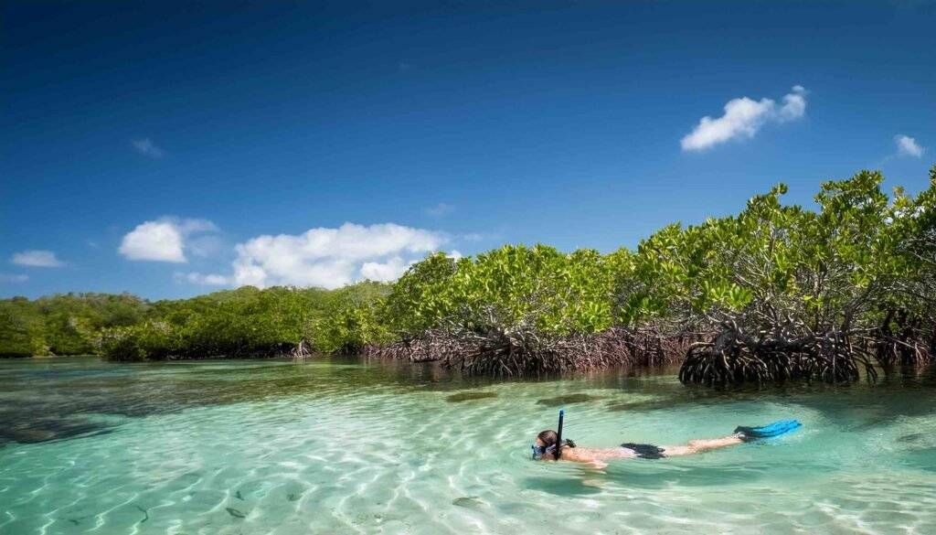 Top 8 Jaw-Dropping Spots for Snorkeling in Virgin Islands National Park
