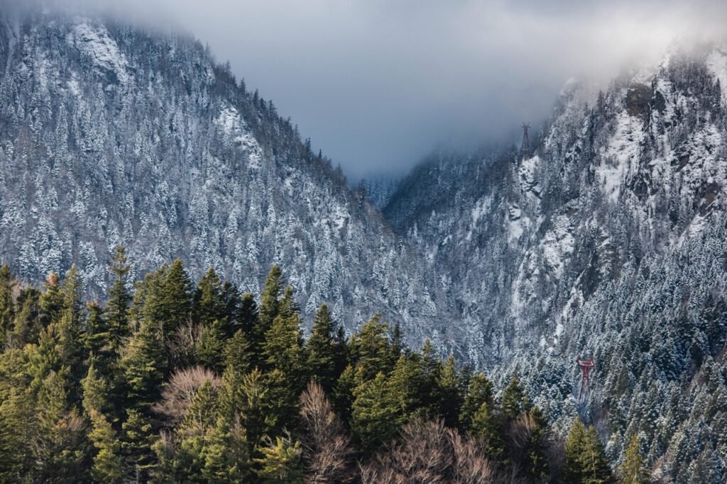 Great Smoky Mountains National Park Cabins