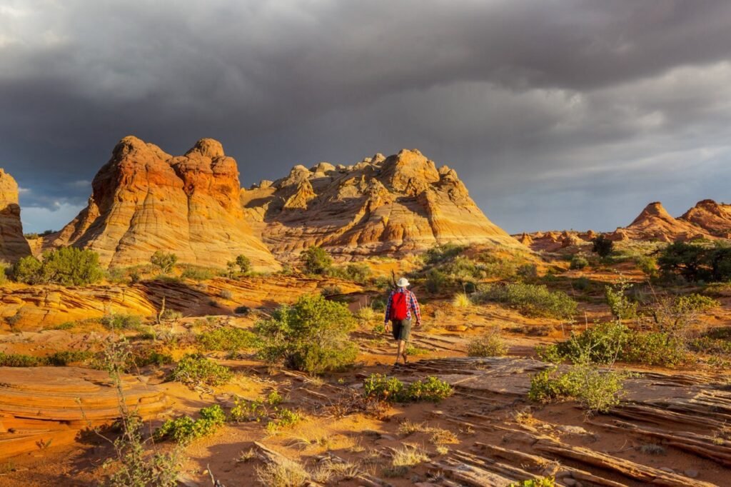 National Parks News