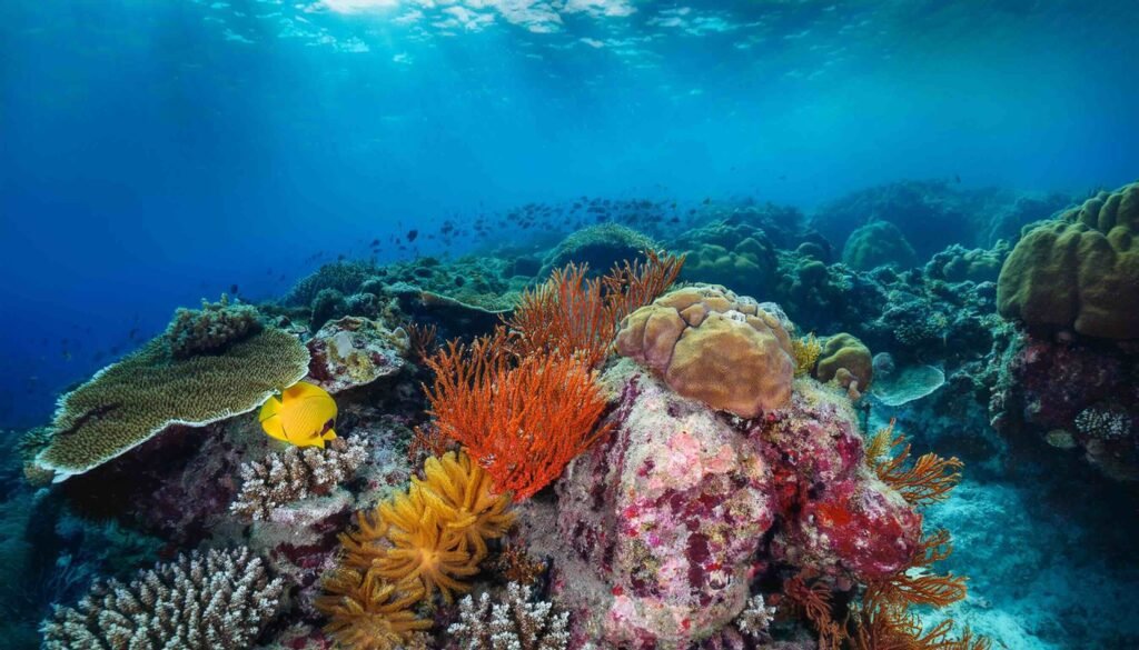 Top 8 Jaw-Dropping Spots for Snorkeling in Virgin Islands National Park