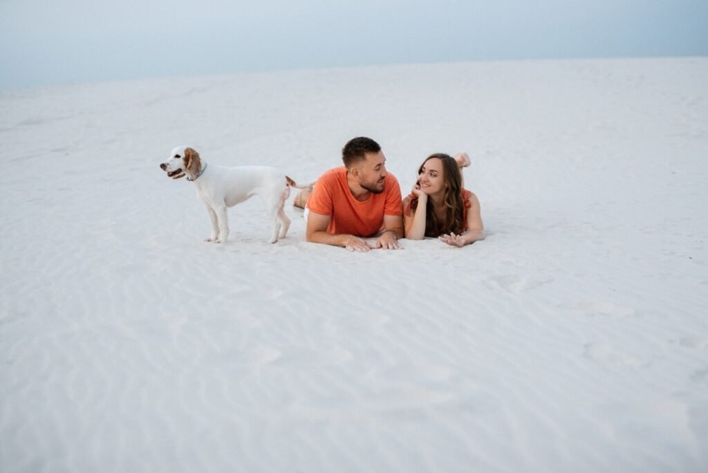 White Sands National Park Map