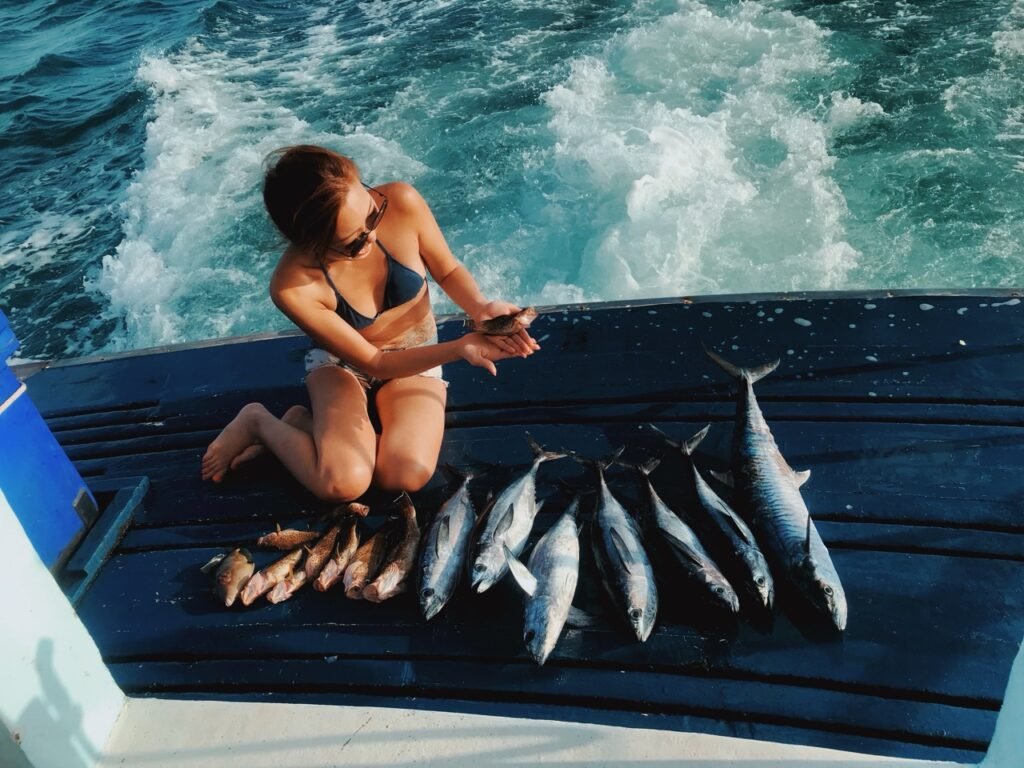 dry tortugas boat charters
