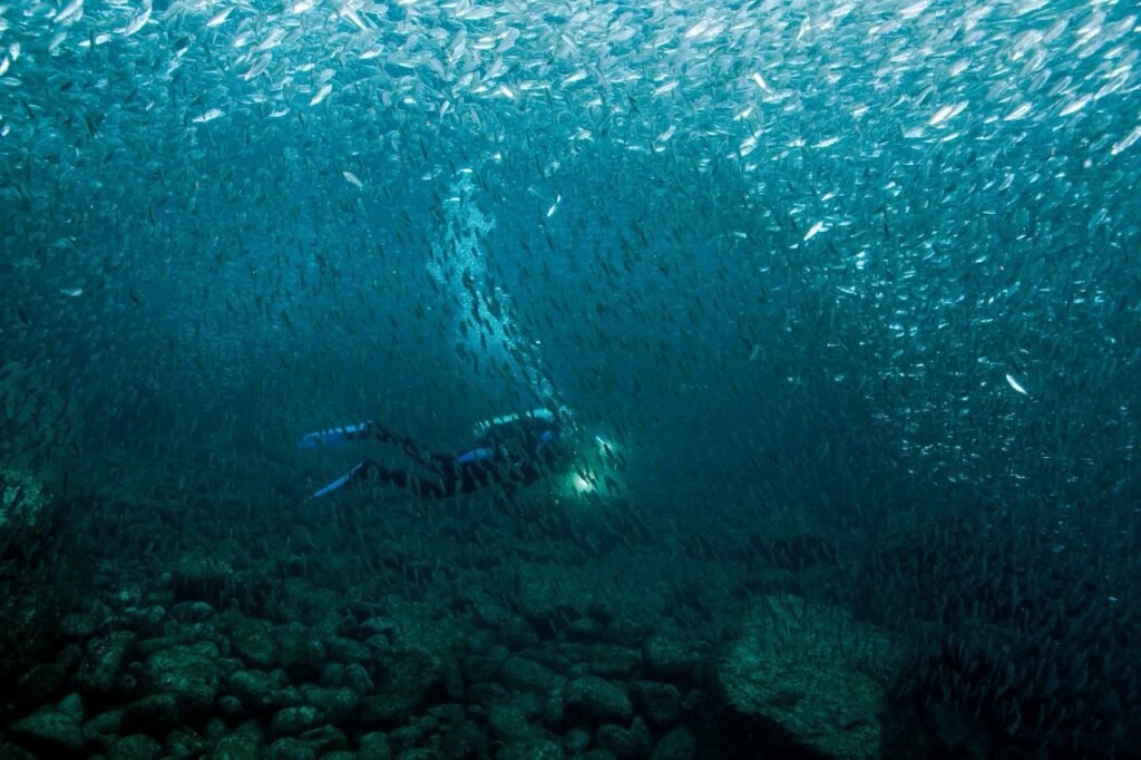 dry tortugas national park history
