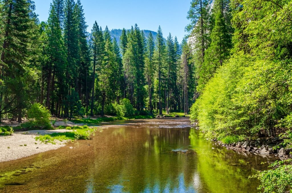 Yosemite Camping Reservations