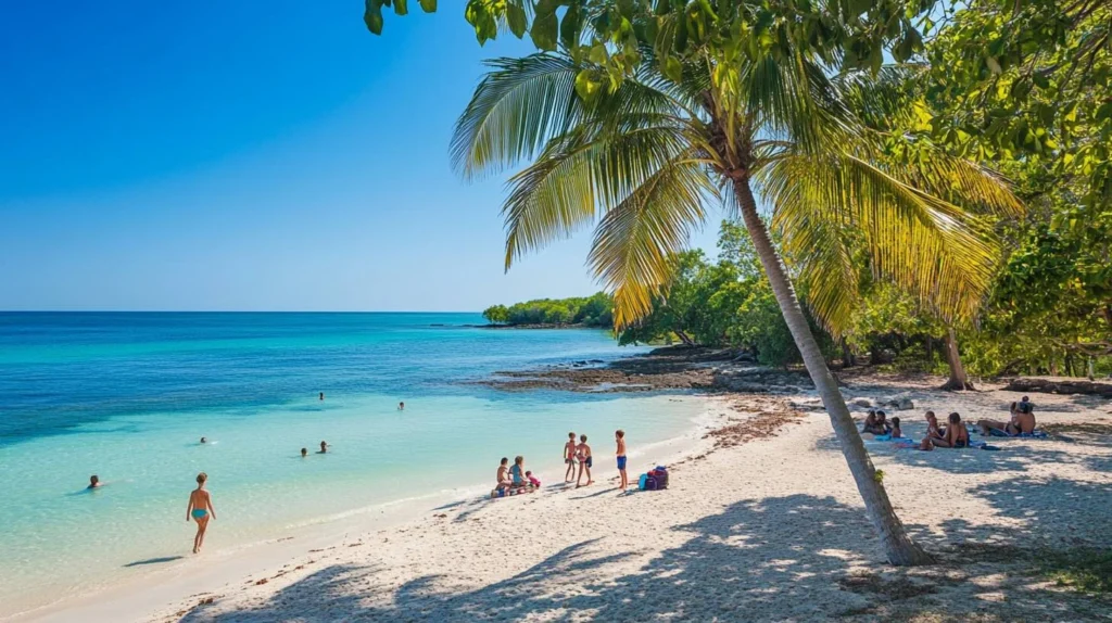 5 Stunning Beaches in Virgin Islands National Park You Can't Miss