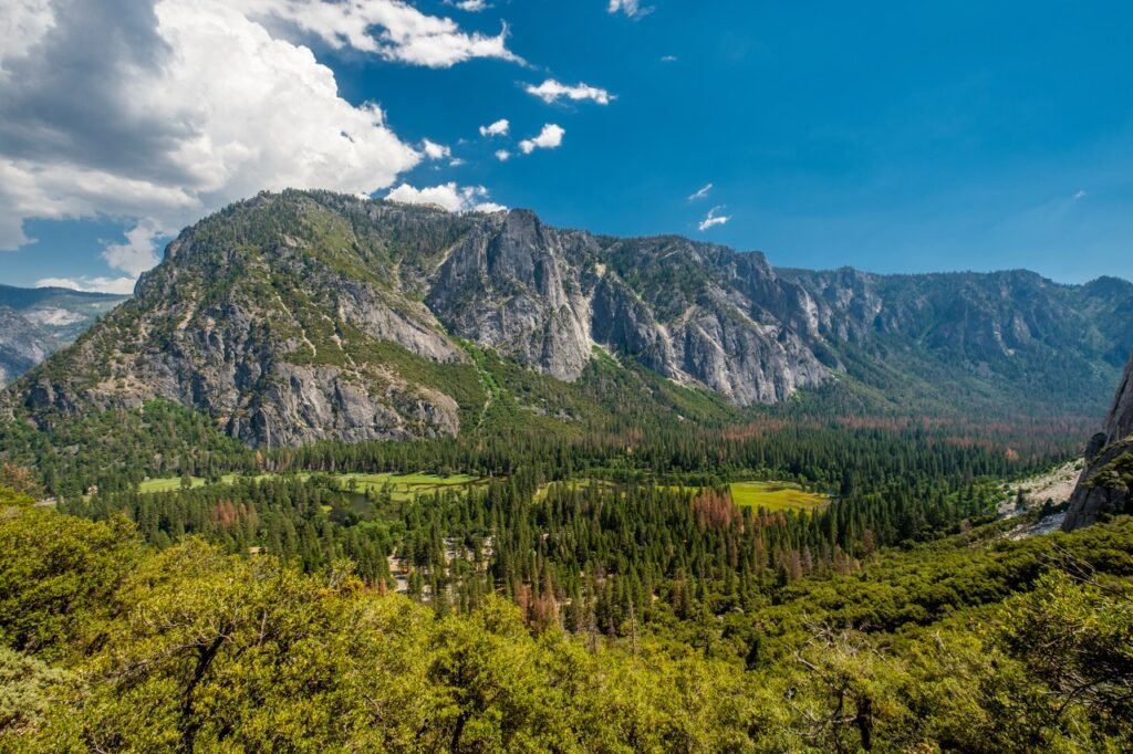 Yosemite Camping Reservations