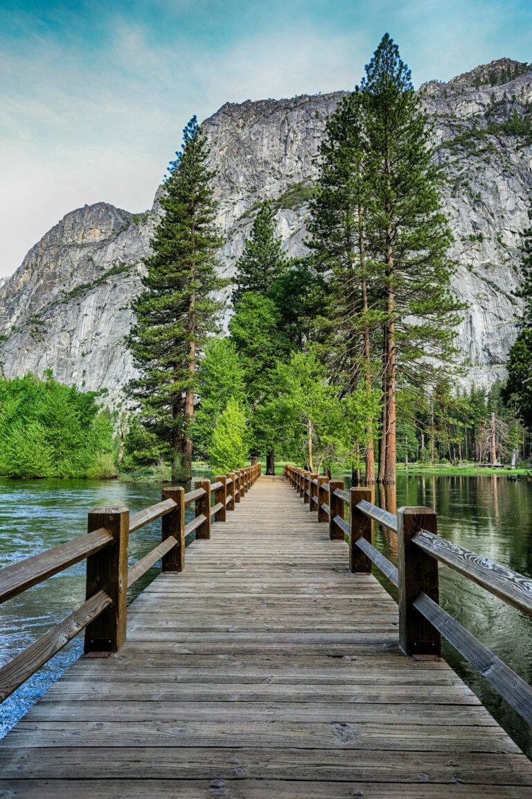 yosemite valley floor tour