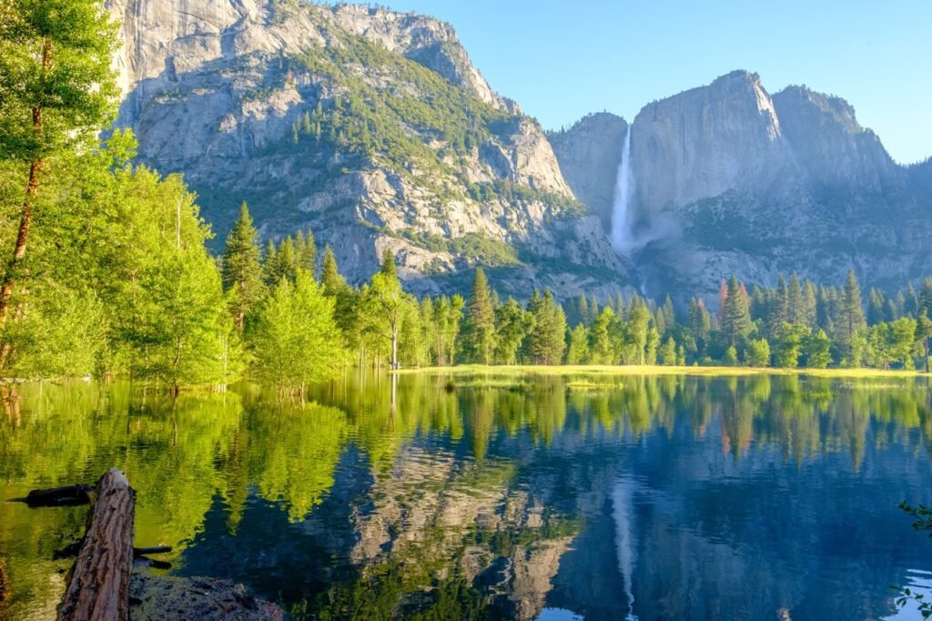 yosemite guided tours 