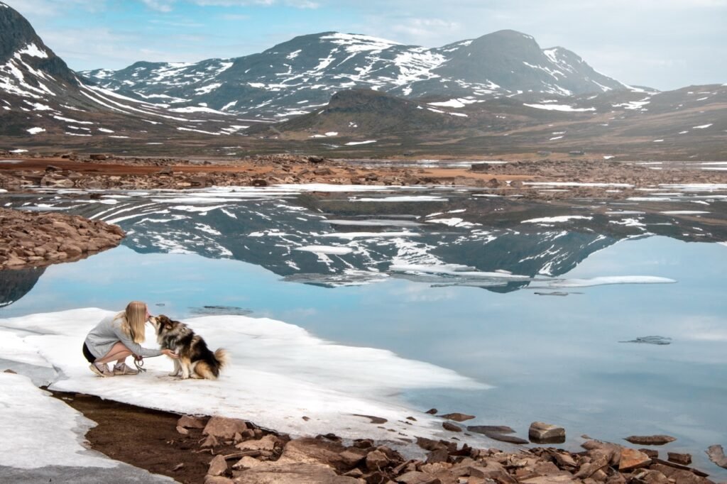 Gates of the Arctic National Park Weather